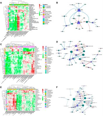 Alterations of the Gut Microbiome and Fecal Metabolome in Colorectal Cancer: Implication of Intestinal Metabolism for Tumorigenesis